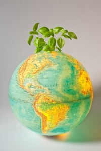 ISO 14001 Environmental Management Systems Consultants 0845 052 3883